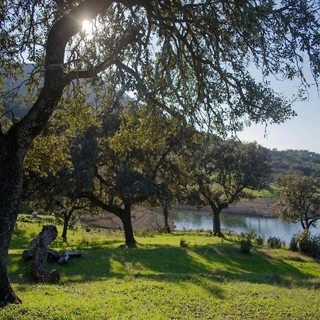 Finca La Vicacaria Limonero Zufre المظهر الخارجي الصورة