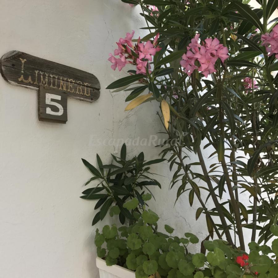 Finca La Vicacaria Limonero Zufre المظهر الخارجي الصورة