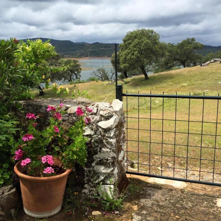 Finca La Vicacaria Limonero Zufre المظهر الخارجي الصورة